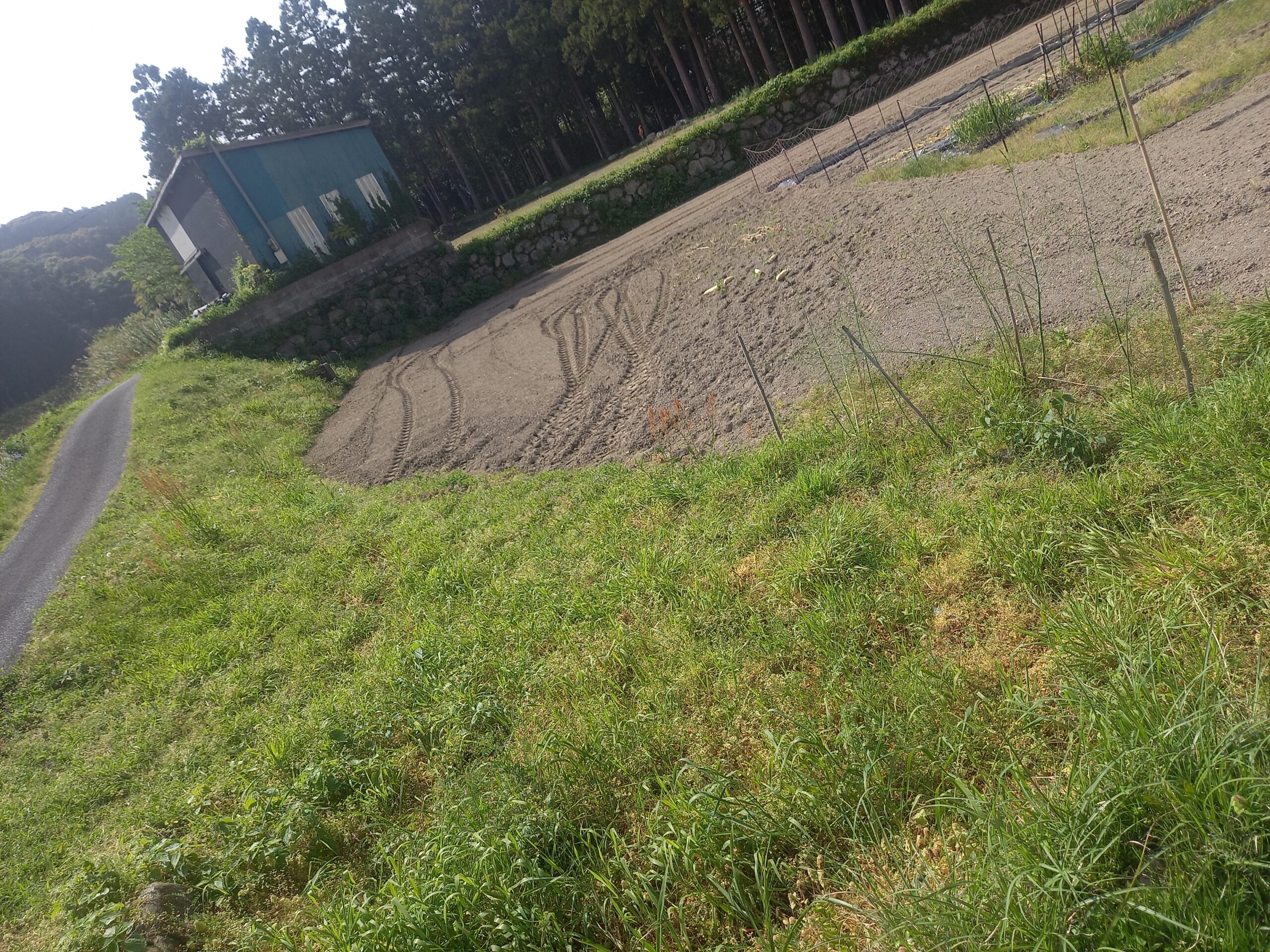 質問イメージ